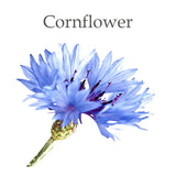 Cornflower Flower Extract