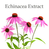 Echinacea Angustifolia Extract 