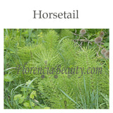 Horsetail & Horsetail Derived Ingredients in Skincare