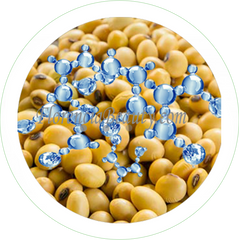 Hydrolyzed Soy Protein, Soy Peptide in Skin Care